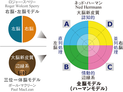 �n�[�}�����f��